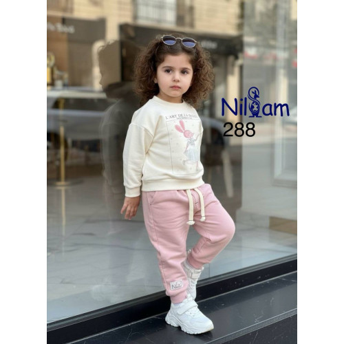 ست طرح موش